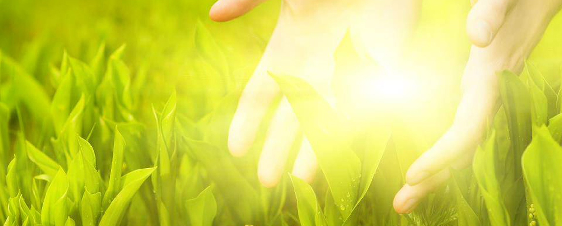 La Nature, médecin de l'âme